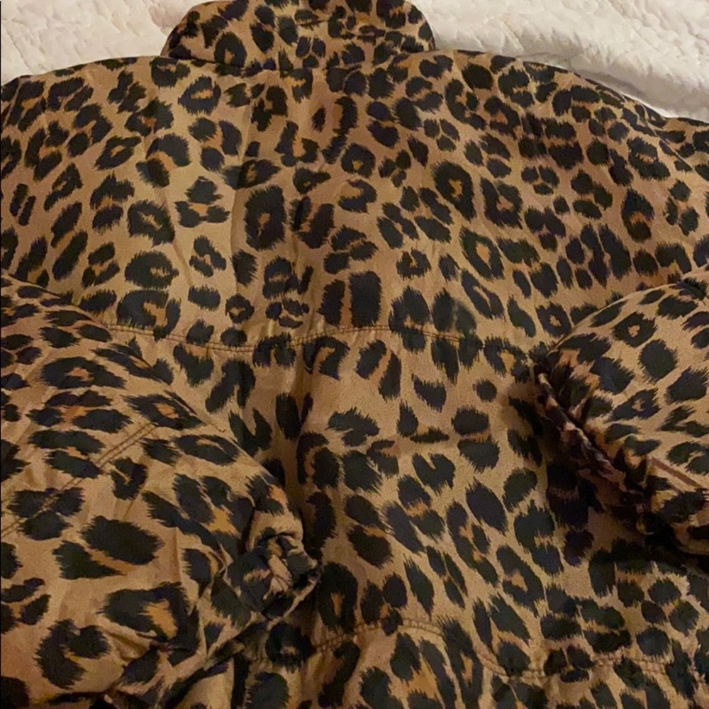 Jacket - Picture 7 of 7